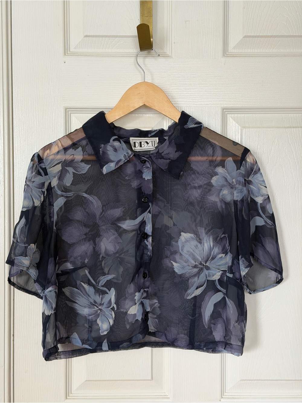 Vintage Floral Sheer Cropped Blouse